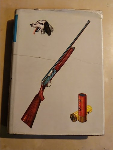 Ugolini dizionario del - ugolini, il