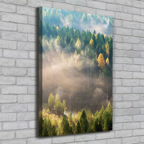 Stampa tela tulup - tela, wall