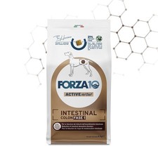 FORZA 10 INTESTINAL COLON FASE