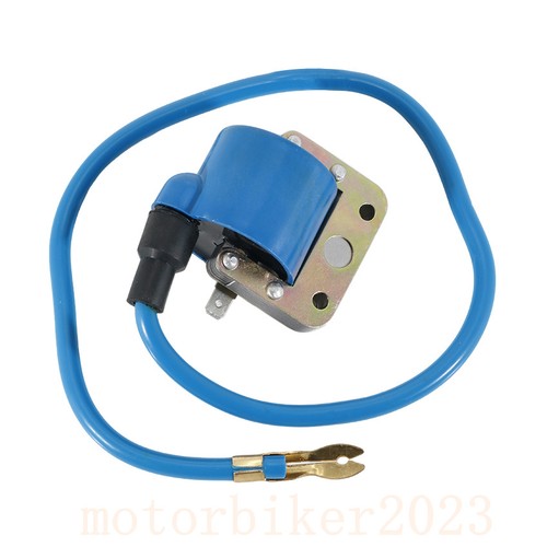 Ignition coil assy for piaggio - assy,