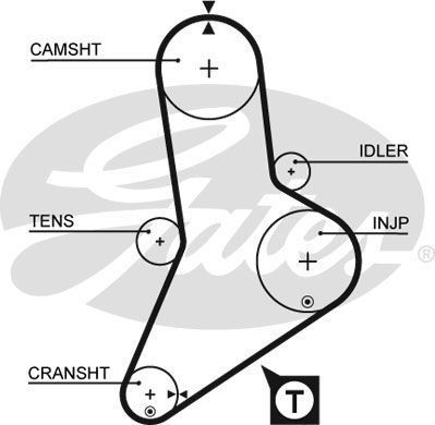 Cinghia distribuzione