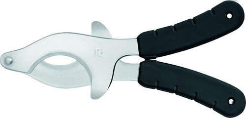 Forbice inox per ricci - -, di