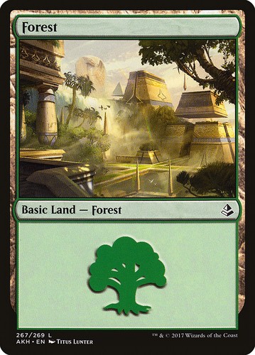Forest basic land lp - land,