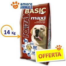 Forza 10 BASIC MAXI - Kg.14 -
