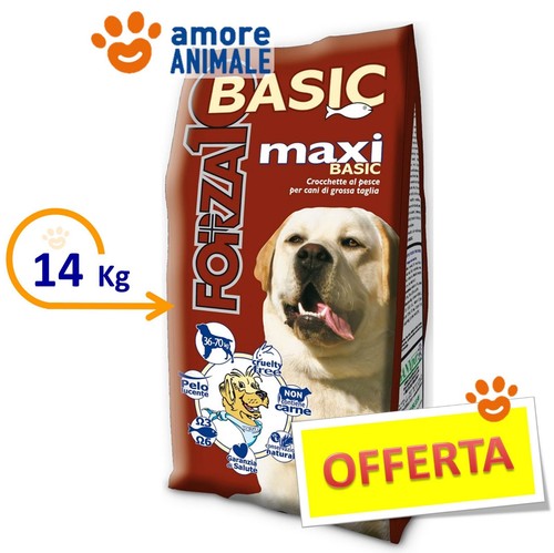 Forza basic maxi - forza,