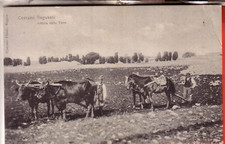 CARTOLINA  RAGUSA NON VIAG