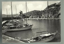  CARTOLINA DI ALASSIO YACHT BARCHE A VELA LA CAPPELLETTA 1959 SPEDITA