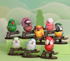 Pappagallo Confermato