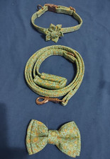 Planet Dog Leash/Collar/Bow 