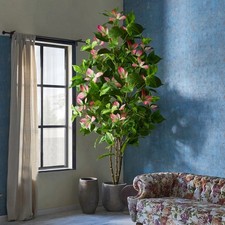 Grande albero di ficus