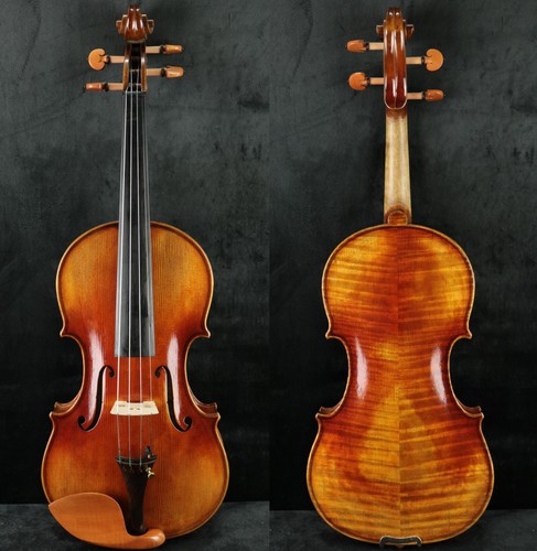 Concert master violino fatto - concert,