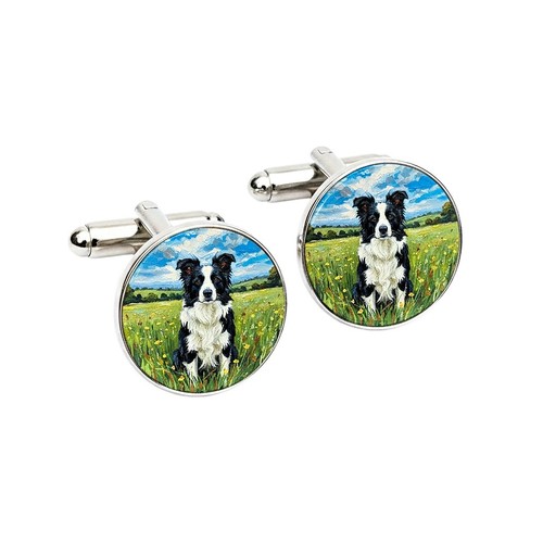 Gemelli border collie - border, •