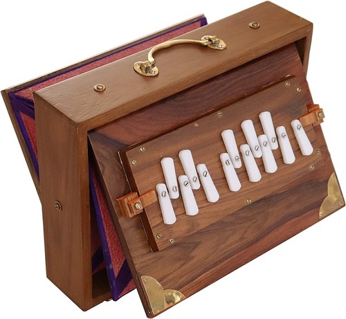 Shruti box professional - shruti, –