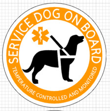 Servizio Cane a Bordo