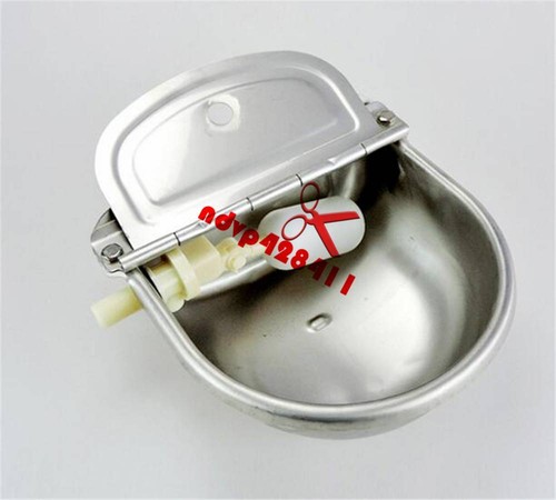 Mangiatoia automatica acqua
