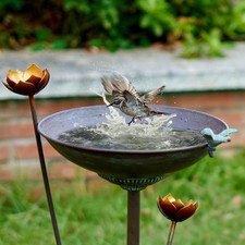 HOUYANG Vasca per Uccelli con