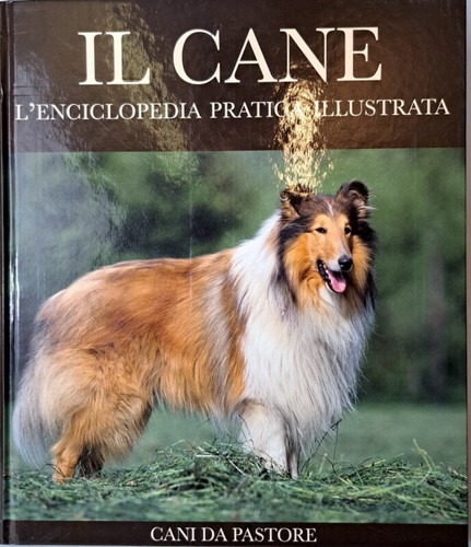Libro cane cani da - il,