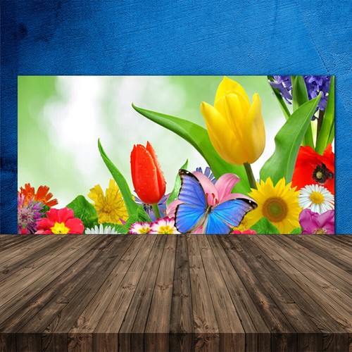 Splashback paraschizzi - splashback,