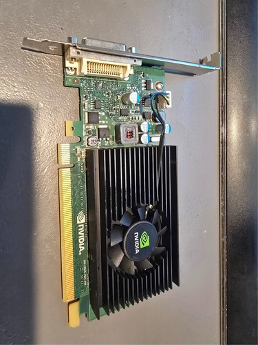 Scheda video pny nvidia quadro - video,