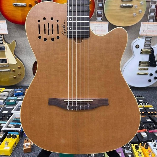 12251 godin multiac nylon - 12251,