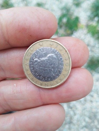 Euro raro slovenia stati - raro,