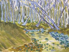 Norbeck meadows crik - norbeck,