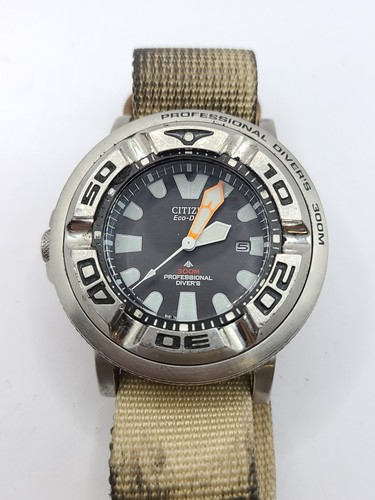 Citizen ecozilla professional - citizen,