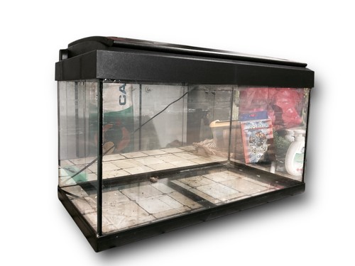 Acquario acqua dolce - acquario,