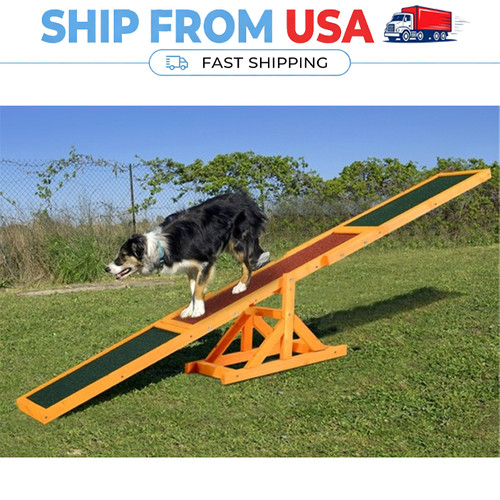 Dog agility seesaw - dog,