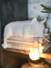 Lampada bulldog francese led - lampada,