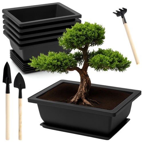 Ciotole per bonsai con - 6,