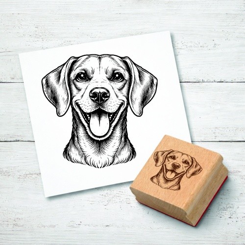 Timbro motivo weimaraner - timbro,