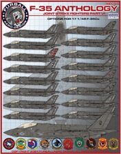 Decalcomanie Furball 1/48