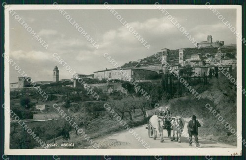 Perugia assisi carro - carro, buoi