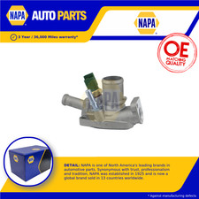 Termostato liquido di