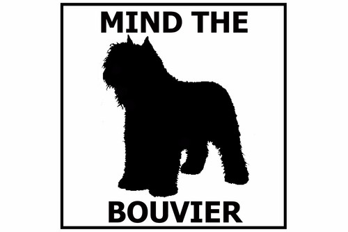 Mind the bouvier - mind, in