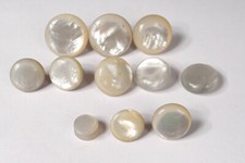 Lotto 11 Bottoni Antichi Madreperla Uniforme IN Bracciale Collo Collezione XIX