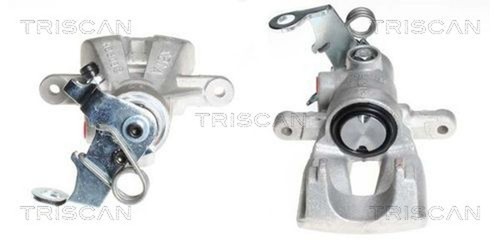 Pinza freno triscan 8170 - freno,