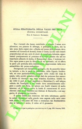 Rovereto gaetano - rovereto,