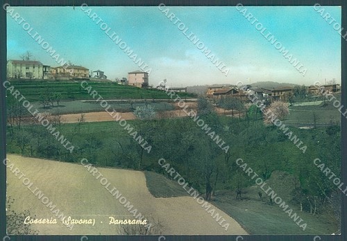 Savona cosseria foto - foto, fg