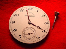 LEVRETTE GORGEOUS 41 MM