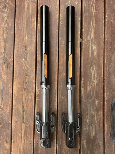 Set forcella anteriore