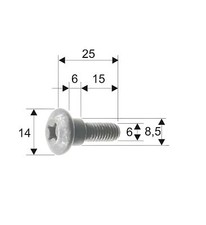 Vite RMS per telaio Piaggio /