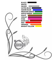 Adesivi finestrino camion