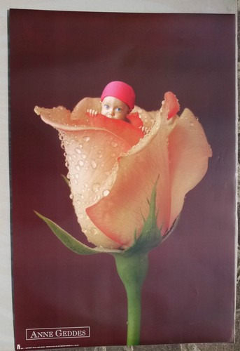 1993 anne geddes - anne,