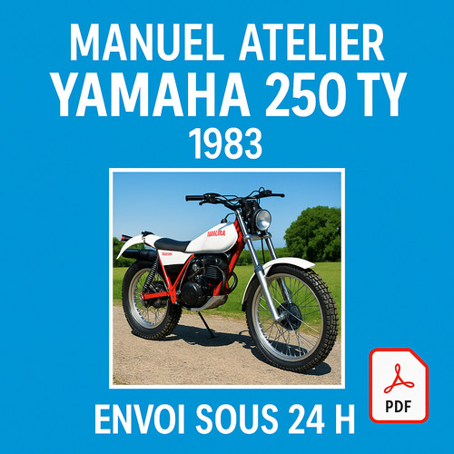 Manuel atelier yamaha - yamaha, 250