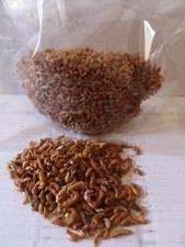 GAMMARUS LYOPHILISE ALIMENT