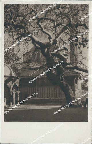 Cf33 cartolina rodi moschea - cartolina,
