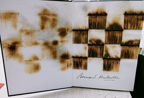 Livre brulè bernard aubertin - livre,