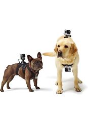 GoPro Accessori Fetch Pettorina per Cani - Adatto per HERO4/HERO3+/HERO3/HD HERO2